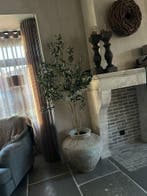 Kunst olijfboom van zijde 180 cm, Ophalen of Verzenden, Nieuw