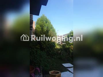 4k. Gelijkvloers (Amsterdam, Noord-Holland), Amsterdam