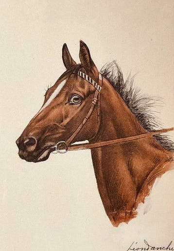 Léon Danchin (1887-1938) Frankrijk. - Paard .