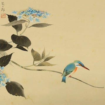 Kingfisher and Hydrangeas with Original Box (Tomobako) -