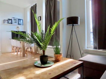 Te huur: Studio Westerbaenstraat in Den Haag, Den Haag, Zuid-Holland
