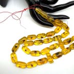 Exclusieve Tesbih-gebedssnoer amberkralen met insecten, 48,3