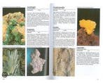 Geillustreerde Mineralen Encyclopedie - Geillustreerde, Boeken, Ophalen of Verzenden, Nieuw