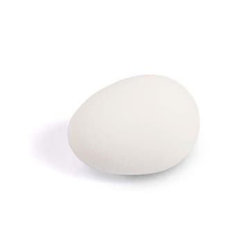 Rubber nest ei wit 56 mm, Dieren en Toebehoren, Ophalen of Verzenden, Nieuw