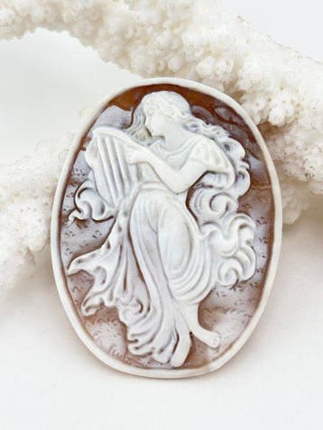 CASSIS MADAGASCARIENSIS - Cameo - Handgesneden camee