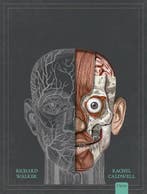 Boek Het menselijk lichaam 9789044834390, Verzenden, Zo goed als nieuw