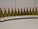 2024 Bourgogne Chardonnay Marcel de Normont - Bourgogne - 12, Verzamelen, Nieuw