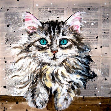 Bazévian DelaCapucinière - Portrait Siberian Cat - chat