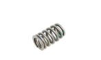 Valve spring HEMI 6.1 SRT-8 intake, Ophalen of Verzenden, Nieuw