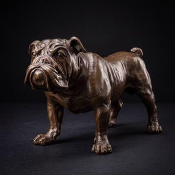 Beeld, XL Engelse Bull Dog 54.5 cm / 9.7 kg - 31 cm - Brons