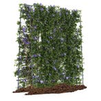 LIVSK Tuin Klimrek - U-Vormig Ontwerp voor Optimale Groei -, Tuin en Terras, Verzenden, Nieuw