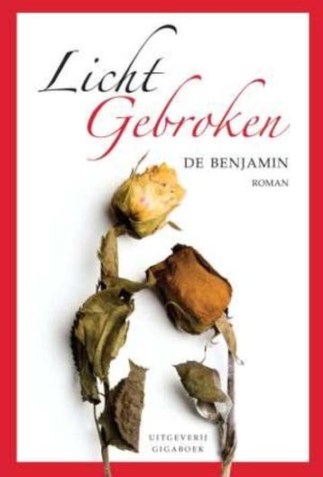 Licht gebroken 9789085481843 De Benjamin, Verzenden, Gelezen, De Benjamin