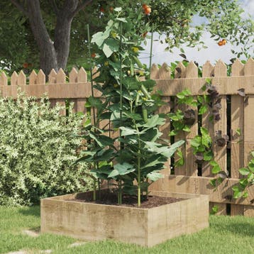 vidaXL Plantensteunen 5 st met 3 ringen 75 cm staal groen, Verzenden, Nieuw, 60 cm of meer