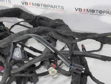 BMW F 850 GS Kabelboom met ESA, Ophalen of Verzenden, Nieuw