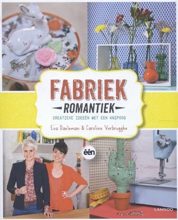 Fabriek Romantiek - Koen Vanderweyden 9789401405195, Verzenden, Zo goed als nieuw, Koen Vanderweyden