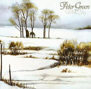 cd - Peter Green (2) - White Sky, Cd's en Dvd's, Verzenden, Zo goed als nieuw
