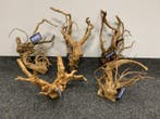 Spiderwood 35-40cm groot, aquarium decoratie hout, Dieren en Toebehoren, Ophalen of Verzenden, Nieuw, Plant(en), Steen of Hout