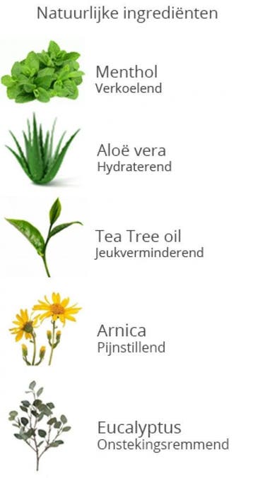 12 stuks Processierups Gel, Ophalen of Verzenden, Nieuw