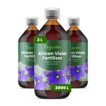 Vloeibare meststof voor Afrikaanse viooltjes - Set van 3x-1, Verzenden, Mest