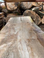 6X Boomstambladen, complete partij 420,- REF 790, Doe-het-zelf en Verbouw, Hout en Planken, Nieuw, Ophalen of Verzenden, 250 tot 300 cm