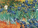 Kunstdruk Vincent Van Gogh - Iris 80x60cm, Huis en Inrichting, Verzenden, Nieuw