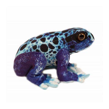 Boomkikker knuffel - pluche - blauw - 24 cm, Verzenden, Nieuw