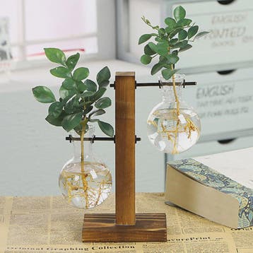 Glazen Vaas met Houten Standaard - Hydroponische Plantenbak, Verzenden, Nieuw in verpakking