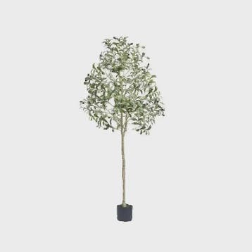 Hoge Kunst Olijfboom (120-180cm) - Onderhoudsvrije Decoratie, Tuin en Terras, Verzenden, Nieuw
