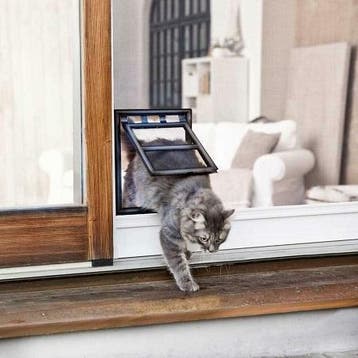 Een kattenluikje in de hordeur? Kattenluik horren deurhor, Nieuw