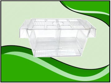 Osaka Breederbox Small - kweekbakje (Kweken, Accessoires), Verzenden, Nieuw, Overige typen