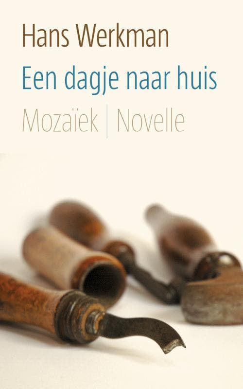 Een dagje naar huis 9789023994312 Hans Werkman, Boeken, Romans, Gelezen, Verzenden