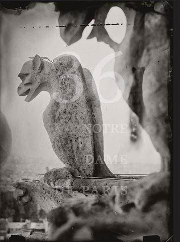 9798890180872 Tomas Van Houtryve: 36 Views of Notre Dame, Verzenden, Nieuw