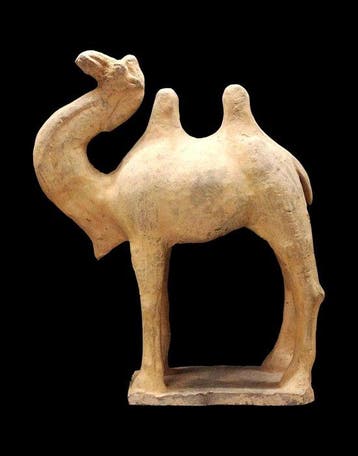 Oud-Chinees - keramische figuur - dromedaris - Tang-dynastie
