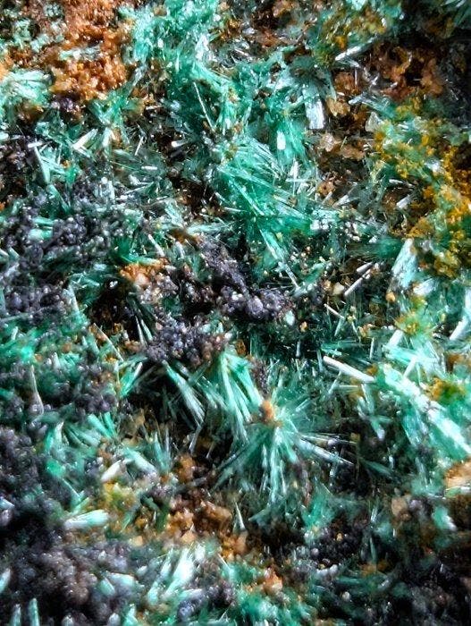 Brochantietkristallen, een geweldig specimen uit de mijnen, Verzamelen, Mineralen en Fossielen