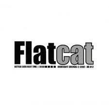 cd - Flatcat - Better Luck Next Time, Verzenden, Zo goed als nieuw