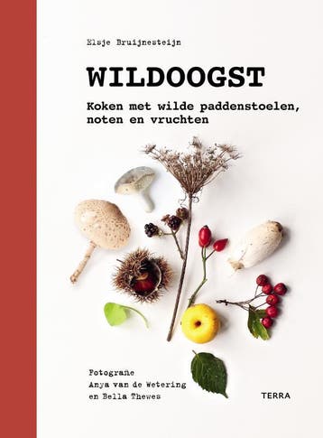 Wildoogst - Elsje Bruijnesteijn 9789089898548, Boeken, Verzenden, Gelezen, Elsje Bruijnesteijn