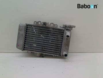 Radiateur Honda SH 125 2005-2008 (SH125), Verzenden, Gebruikt