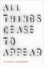 All Things Cease to Appear 9781784296872 Elizabeth Brundage, Boeken, Verzenden, Gelezen, Elizabeth Brundage