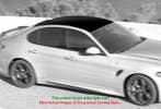 Alfa Romeo Giulia QV Carbon Fiber Dak, Verzenden