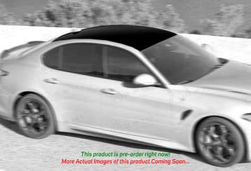 Alfa Romeo Giulia QV Carbon Fiber Dak, Verzenden