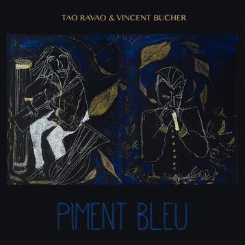 cd - tao ravao &amp; vincent bucher - PIMENT BLEU (nieuw), Verzenden, Zo goed als nieuw