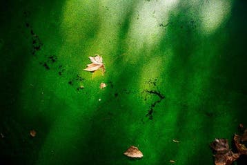 Viet Ha Tran - The infinite silence