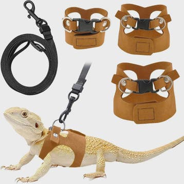 Verstelbaar Reptiel Harnas met Leiband Set voor Baardagame -, Dieren en Toebehoren