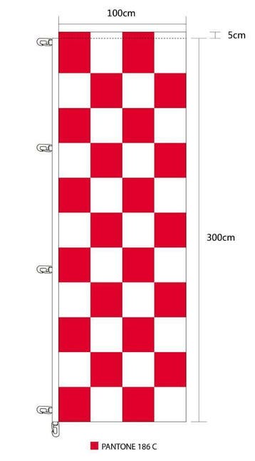 Brabantse banier hoogformaat vlag Brabant 100 x 300 cm, Diversen, Vlaggen en Wimpels, Verzenden, Nieuw