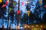 Into the Woods Festival 2026, Tickets en Kaartjes, Evenementen en Festivals