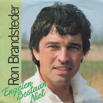 vinyl single 7 inch - Ron Brandsteder - Engelen Bestaan Niet, Verzenden, Zo goed als nieuw, 7 inch, Nederlandstalig