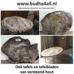 versteend hout schijven en tafels - miljoenen jaar oud hout, Ophalen of Verzenden, Mineraal