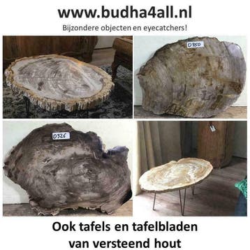 versteend hout schijven en tafels - miljoenen jaar oud hout, Ophalen of Verzenden, Mineraal
