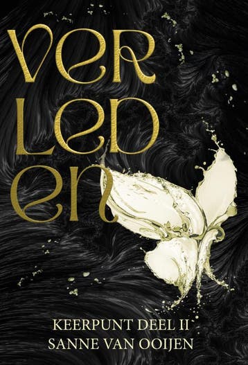 Verleden | Sanne Van Ooijen | Nieuw, Boeken, Ophalen of Verzenden, Nieuw, Sanne Van Ooijen