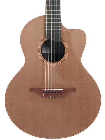 Lowden S25J Jazz Nylon Crossover (Instrument), Ophalen of Verzenden, Nieuw, Overige typen